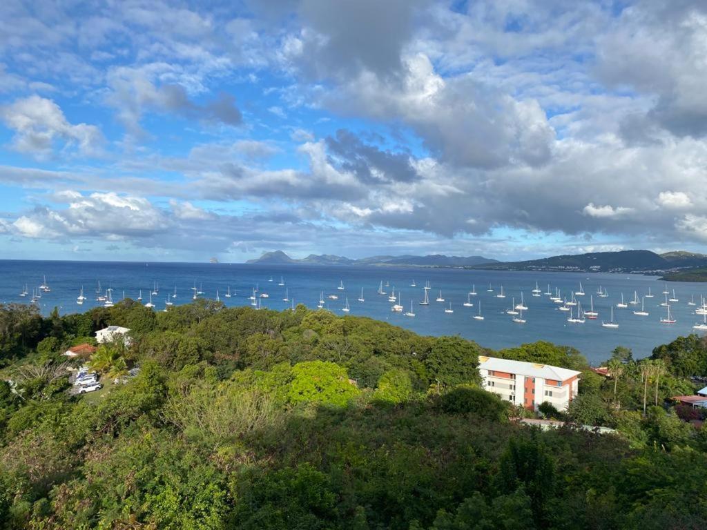 Superbe Appartement Vue Sur Mer Sainte-Anne Exteriör bild